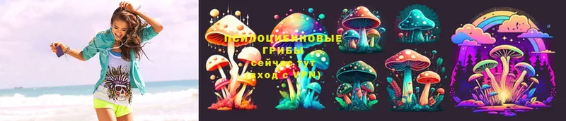 Псилоцибиновые грибы Psilocybe  MEGA   Боровичи 